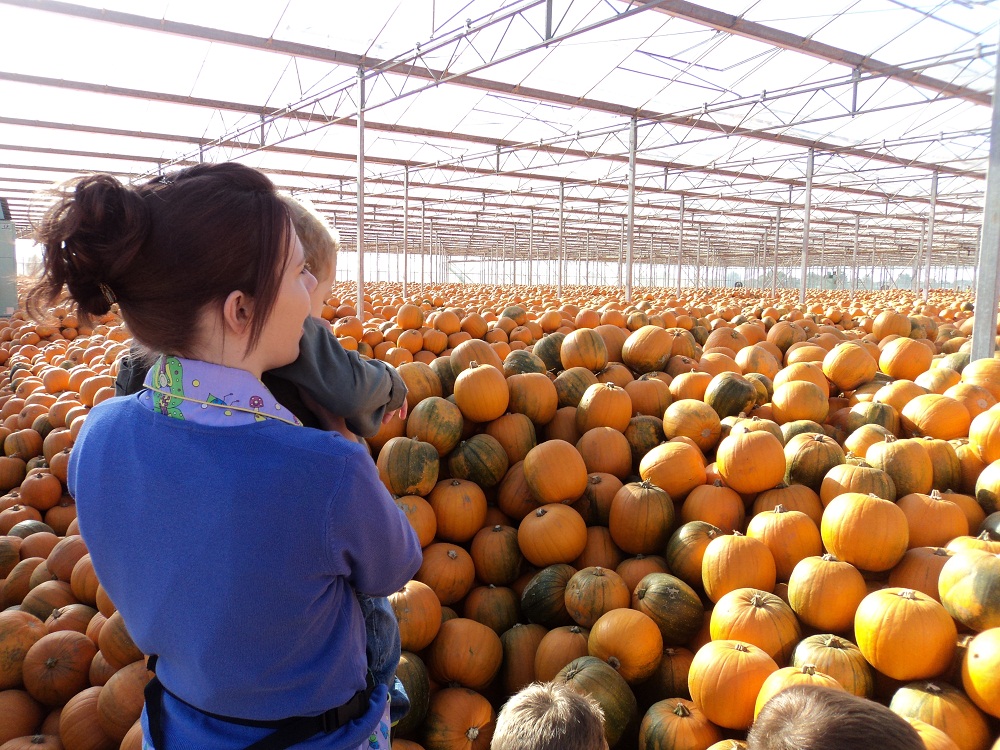 Pumpkin Farm Visit Autumn 2011