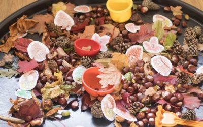 March Nursery November 2018