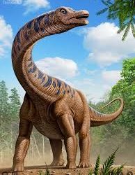 Wisbech Nursery November 2018