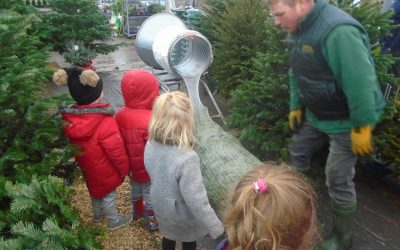 Wisbech Nursery December 2018