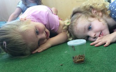 Peterborough Nursery May 2019