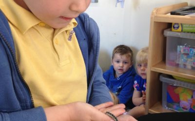 March Nursery May 2019