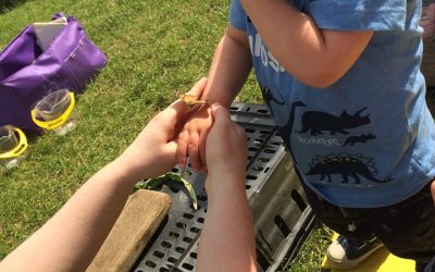 Peterborough Nursery June 2019