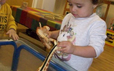 Wisbech Nursery October 2019