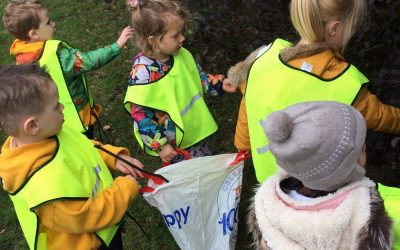 Peterborough Nursery October 2019