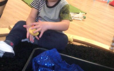 Wisbech Nursery July 2020