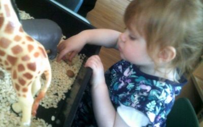 Wisbech Nursery August 2020