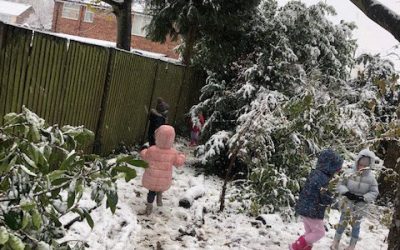 Forest School Newsletter December 2020