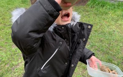 Forest School Website Update March 2021