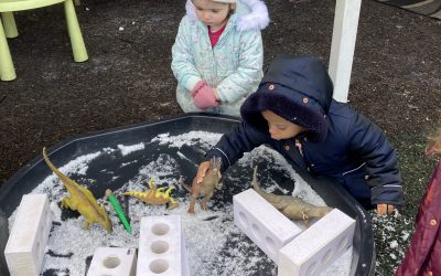 Newsletter February 2021