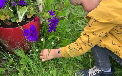 Forest School Newsletter June 2021