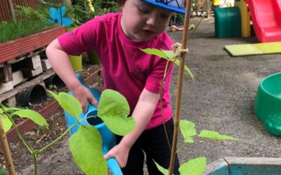 Newsletter June 2021