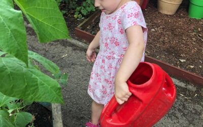 Newsletter July 2021