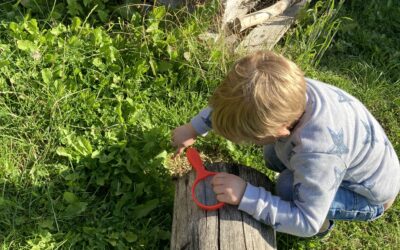 Newsletter August 2021