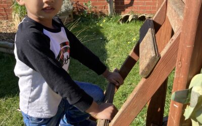 March Newsletter 2022