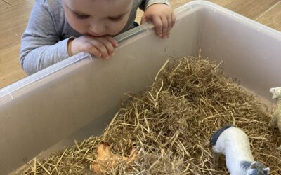 October Newsletter 2022