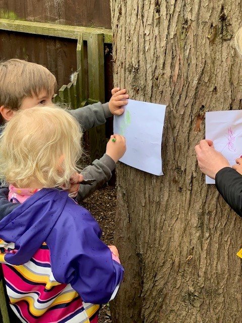 tree rubbings
